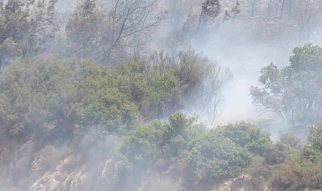 Foça'daki orman yangını kontrol altına alındı