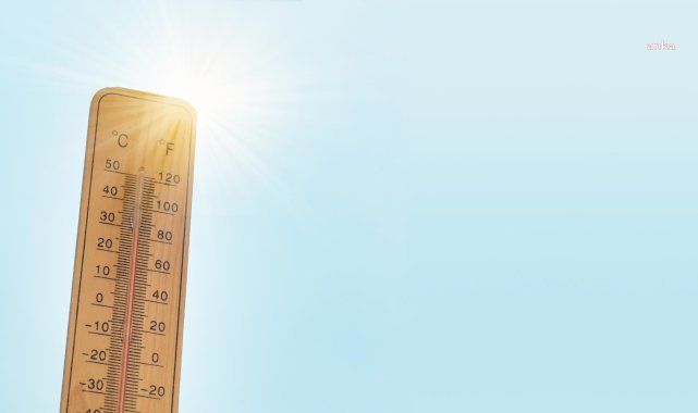 Fransa ve Almanya'da sıcak hava dalgası bekleniyor