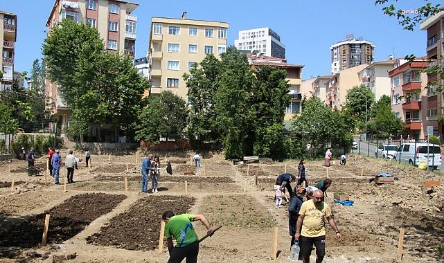 İBB'nin Halk Bostanları'nda en çok tercih edilen ürünler domates, biber ve kıvırcık marul oldu