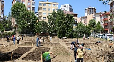 İBB'nin Halk Bostanları'nda en çok tercih edilen ürünler domates, biber ve kıvırcık marul oldu