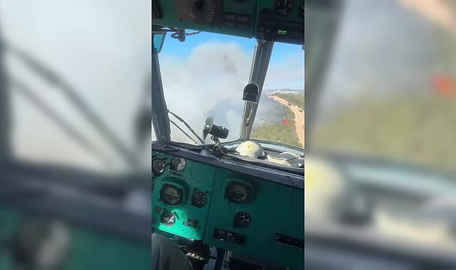 İzmir Aliağa'daki orman yangını kontrol altına alındı