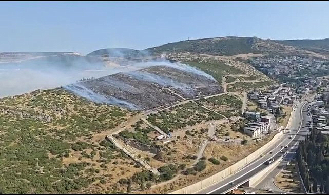 İzmir Bornova'da ormanlık alanda yangın