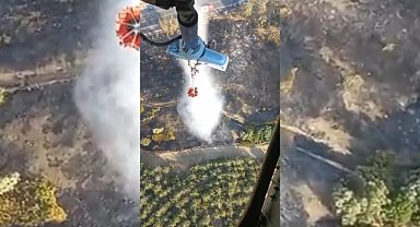 İzmir Çevreyolu'nda tır yangını ormana sıçradı, söndürme çalışmaları sürüyor