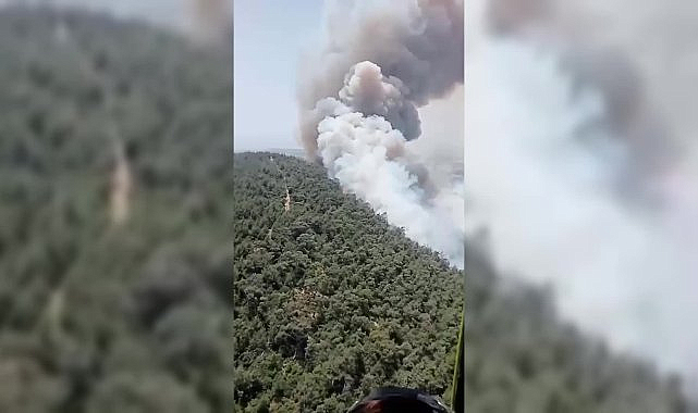 İzmir Foça'da orman yangını