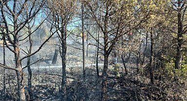 İzmir İtfaiyesi, çıkan yangınları kontrol altına aldı