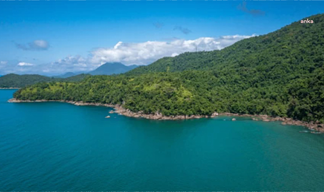 Kıyı kenar çizgisinin deniz tarafındaki ormanlık alanlar turizme açıldı
