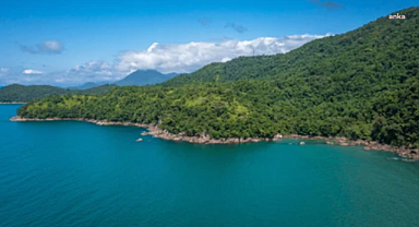 Kıyı kenar çizgisinin deniz tarafındaki ormanlık alanlar turizme açıldı