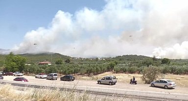 Manisa Akhisar'da orman yangını: Tahliyeler başladı, müdahale sürüyor 