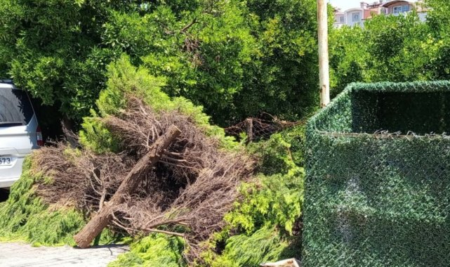 Marmaris Belediyesi'nden ücretsiz çevre hizmeti