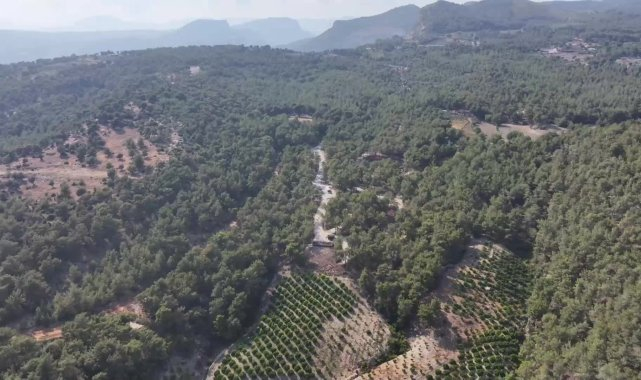 Mersin Büyükşehir Belediye Başkanı Seçer, Emirler Orman Parkı Piknik Alanı'nı inceledi