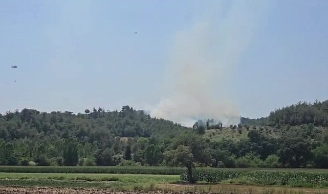 Osmaniye'de çıkan orman yangını büyümeden söndürüldü