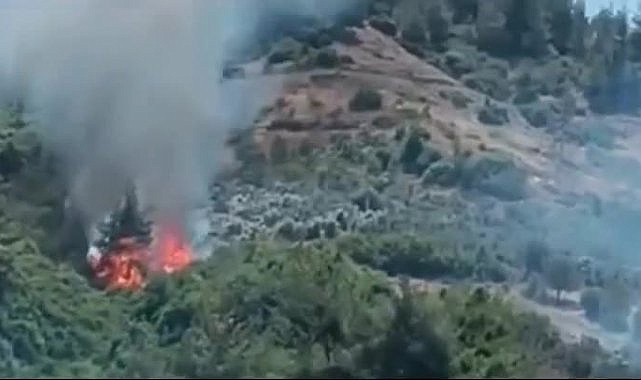 Osmaniye'nin Yarbaşı beldesinde orman yangını