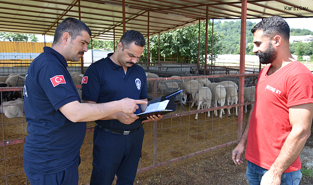 Pendik'te Kurban Satış ve Kesim Alanları Denetleniyor