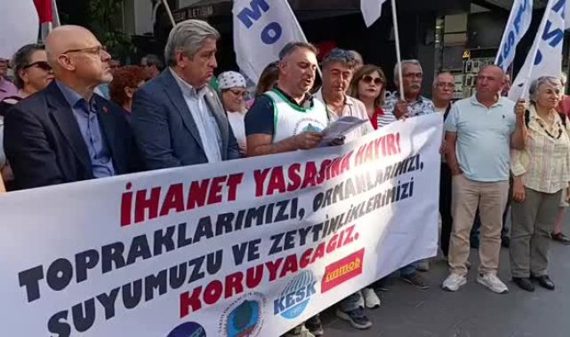 Samsun'da zeytinlik düzenlemesine protesto