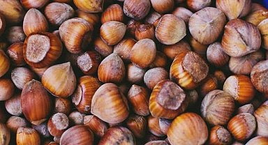 TMO, 10 bin ton kabuklu fındık için satış ihalesine çıkıyor