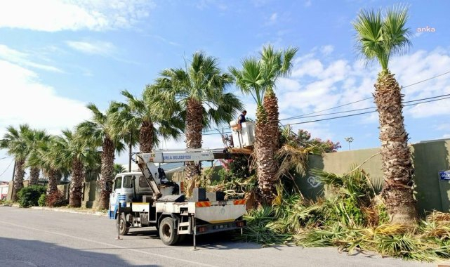 Urla'da bayram ve yaz sezonu için yoğun mesai