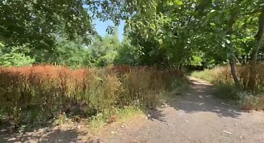 Üsküdar Belediyesi'nden "Mısırlı Millet Bahçesi" iddialarına yanıt: Alan belediyeye ait değil