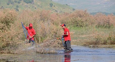 Veterinerlerden Sivrisineklere Karşı Su Birikintisi Uyarısı!