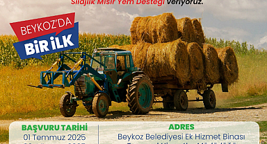 Beykoz'da üretilen silajlık mısır, değerinde alım ile yerli hayvancılığa destek