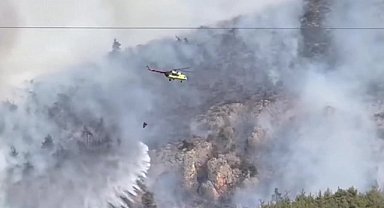 Bilecik'te orman yangını