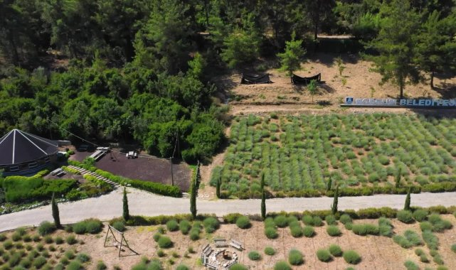 Bodrum'da Gençlik ve Tarım Kampı'nın birinci dönemi tamamlandı