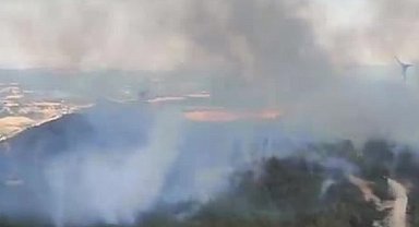 Cumhurbaşkanlığı İletişim Başkanlığı: Şarköy'deki yangına 15 söndürme uçağı, 19 söndürme helikopteri, 76 arazöz ve 509 personel sevk edilmiştir