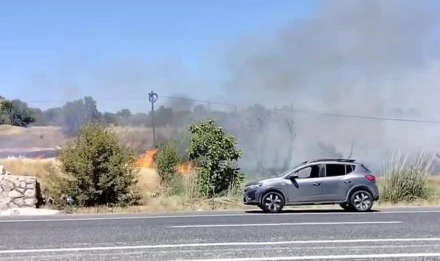 Elazığ'ın Keban ilçesi kırsalında yangın
