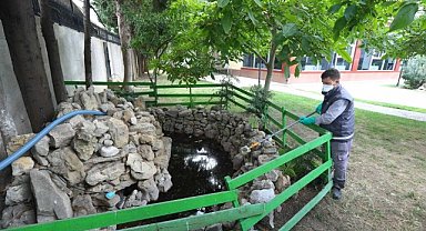 İBB Sağlık İşleri Dairesi Başkanlığından uyarı: "Patili dostlarımızı korurken halk sağlığını riske atmamak hepimizin sorumluluğu"