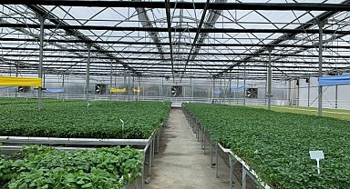 İSTAÇ'tan sıfır atık modeli: Çöp gazı elektriğe, ısı fideye dönüştü