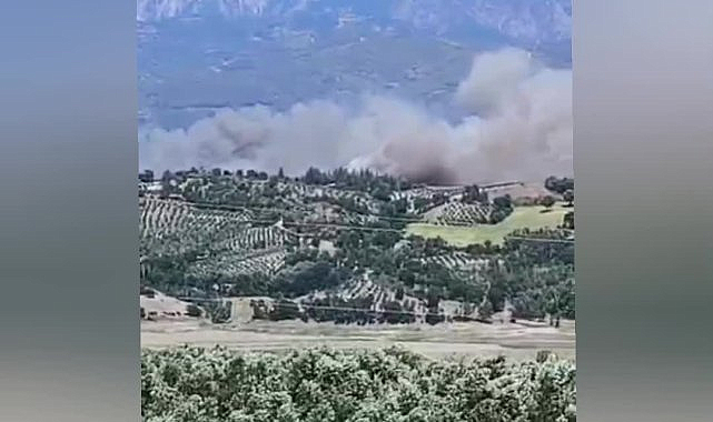 Kahramanmaraş'ta orman yangını başladı