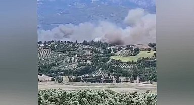 Kahramanmaraş'ta orman yangını başladı