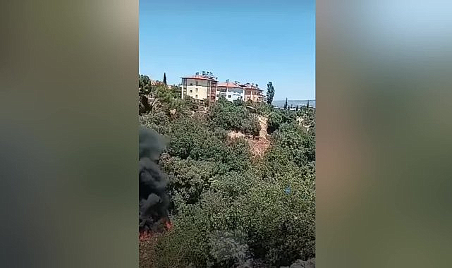 Karacasu'da çöplerin atıldığı makilik alanda yangın