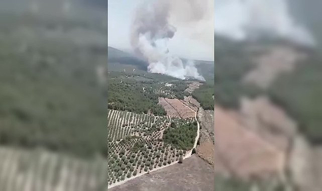 Manisa'da ziraat alanında başlayan yangın ormana sıçradı