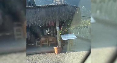 Muğla'da Doğal Sit Alanı olan Akbük Koyu'na yerleştirilen 11 tiny house mühürlendi