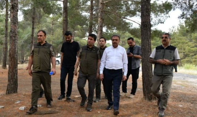 Şanlıurfa'da ormanlık alanlara girişler yasaklandı
