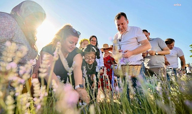 Silivri'de Geleneksel Lavanta Hasat Şenliği
