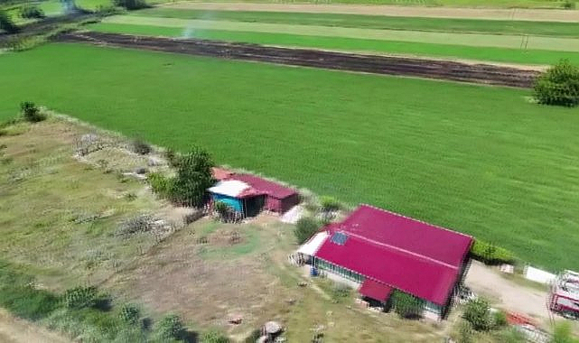 Sinop'ta anız yangını: Ekipler ormana sıçramadan söndürdü