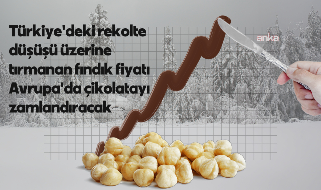 Türkiye'de fındığı vuran zirai donun faturasını Avrupalı çikolata tutkunları ödeyecek