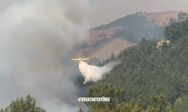 Yerlikaya, yangınlara toplam 3 bin 163 personel, 29 hava aracıyla müdahale edildiğini bildirdi