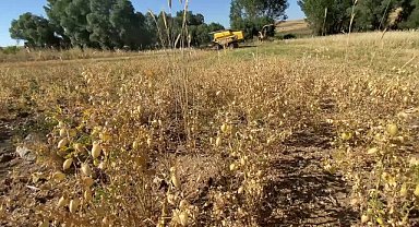 Yozgat Ziraat Odası Başkanı Açıkgöz: "Daha önce 100 ton buğday satan kişi 20- 25 ton buğdayla geldi"