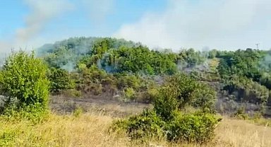 Zonguldak'ta kırsalda yangın paniği: Ekipler ve köylüler müdahale etti