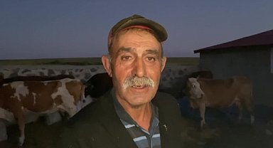 Ardahan'da üreticiler şap hastalığından dert yandı: "Hayvanlarımız ölmek üzere, acil yardım bekliyoruz"