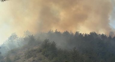 Karabük'te çıkan orman yangınına müdahale sürüyor