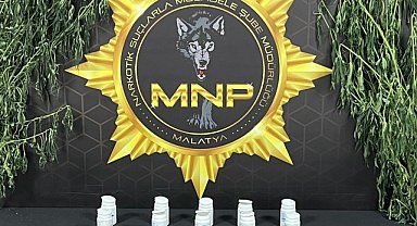Malatya'da "torbacı" operasyonu: 9 tutuklama