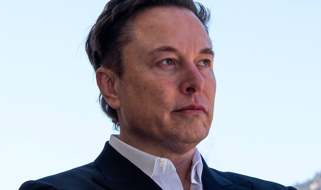 Tesla CEO'su Elon Musk'tan, yeniden AfD'ye destek