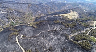 Toplum Çalışmaları Enstitüsü: Türkiye'de son bir ayda çıkan orman yangınlarında 12 bin 752 futbol sahası büyüklüğünde alan küle döndü