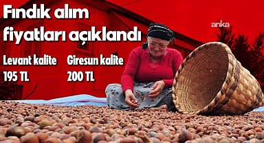 Toprak Mahsulleri Ofisi, 2025/2026 sezonu kabuklu fındık alım fiyatlarını açıkladı