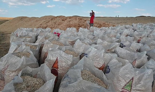 Yozgat'ta verim düşüklüğü saman fiyatlarını üçe katladı