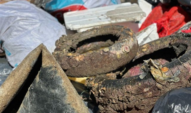 1 saatte 1,5 ton atık toplandı: Urla'da kıyı ve deniz temizliği yapıldı