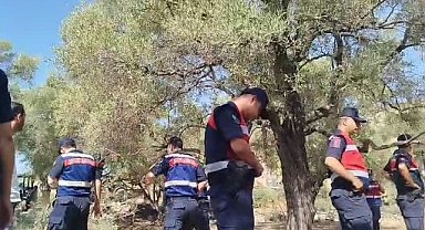 Akbelen'de zeytin ağaçlarının kesimine direnen muhtar ve köylüler gözaltına alındı